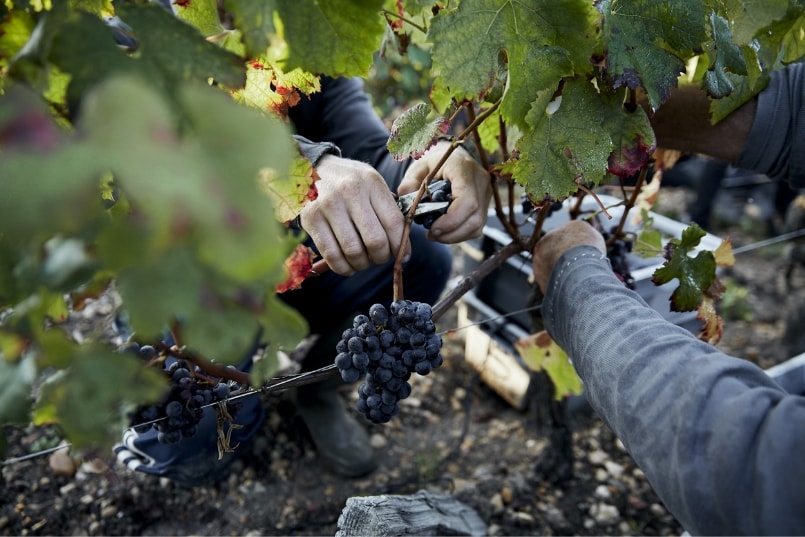 Illustration Miguel Ramos